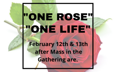 One Rose One Life