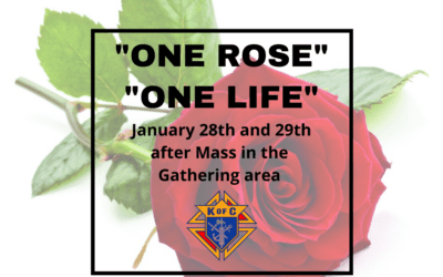 One Rose – One Life