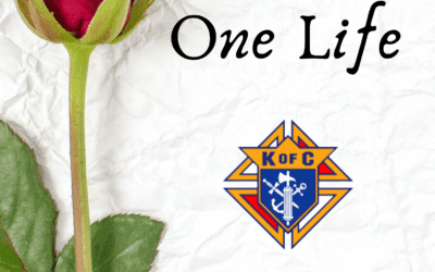 One Rose One Life